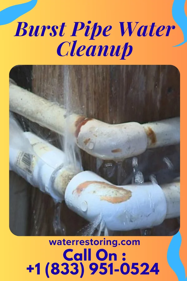 Burst Pipe Water Cleanup in Fair Play, MO